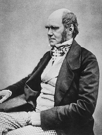 darwin